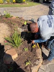 Bee Cave Sprinkler Repair Tech